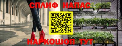 гидра Аргун