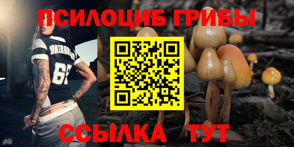 Галлюциногенные грибы мицелий Богородск