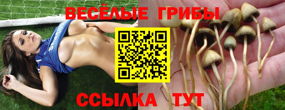 Богородск  Псилоцибиновые грибы мухоморы  Вход с VPN 
