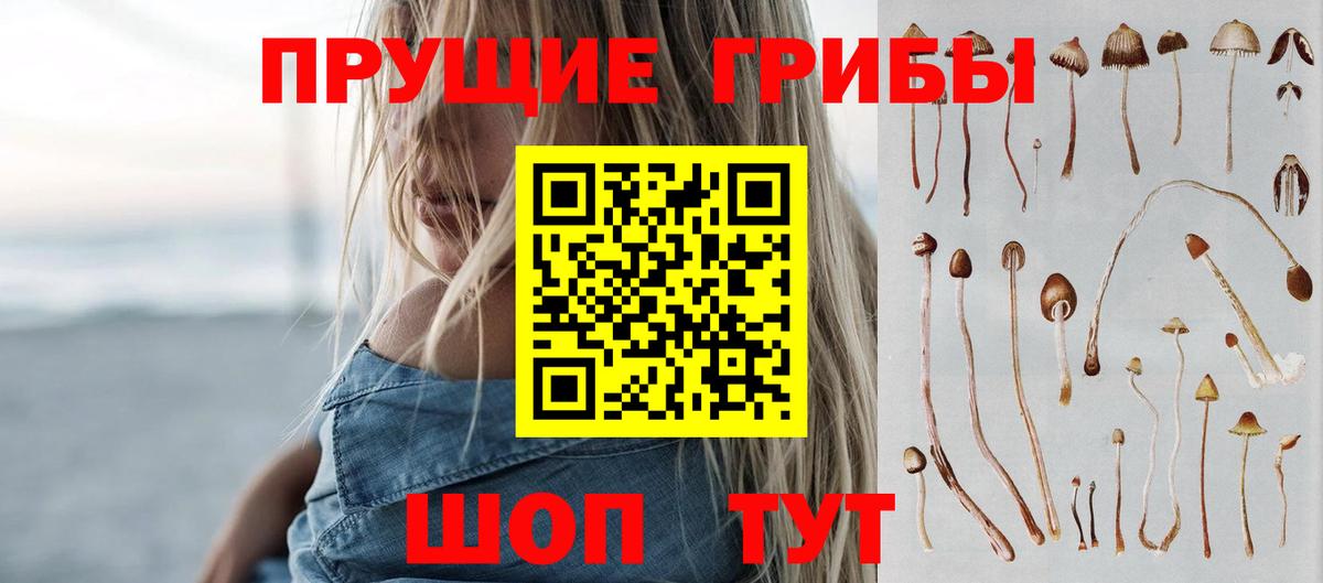 сколько стоит  Богородск  Псилоцибиновые грибы мицелий 