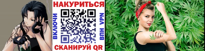 Шишки марихуана марихуана  blacksprut   Богородск 